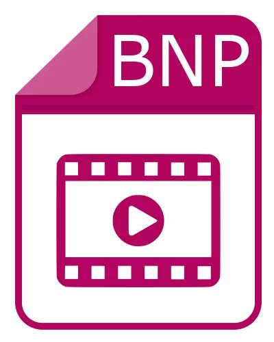 BNP File: How to open BNP file (and what it is).